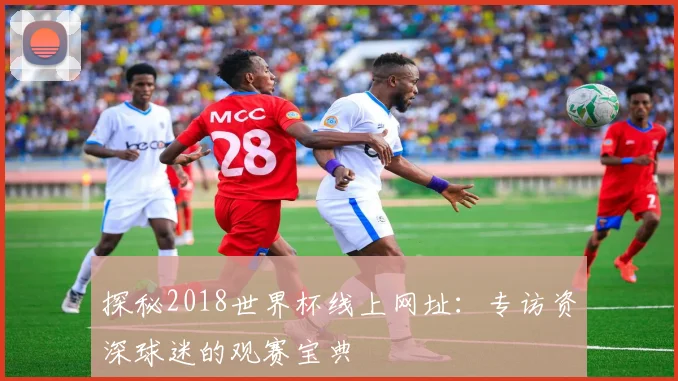 探秘2018世界杯线上网址：专访资深球迷的观赛宝典