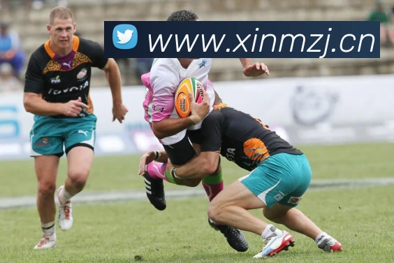 奖项证书